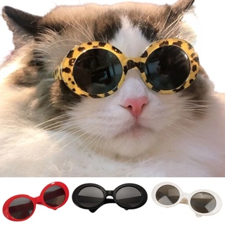 Óculos de Sol Oval Branco para Gatos e Cachorros Pequenos | Ronrom Pet