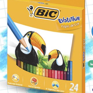 Lápis de cor 24 Cores Bic Evolution Material Escolar, Artes Envio Imediato Lápis de colorir