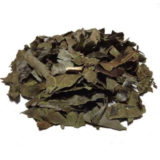 Chá Verde (Granel 250g)