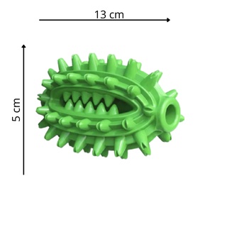 Brinquedo Mordedor Cactus Escova de Dentes Verde (3)