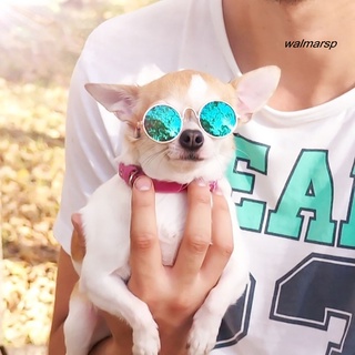 Óculos De Sol De Sol Moderno Com Olhos De Proteção Para Animais De Estimação / Gatos / Cachorros (4)