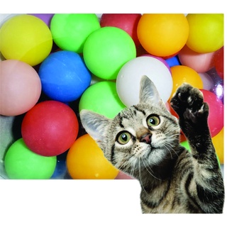 Pacote 4 Bolinhas Bola Ping Pong Para Cachorro Gato Coelho Pets Crianças Coloridas Pet Shop