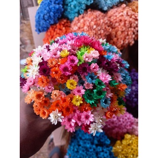 Buquê de flores sempre vivas coloridas , cores mistas para resina e artesanato
