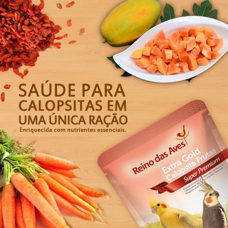 Kit Reino das Aves - Extra Gold Calopsita Frutas 400g + Farinhada R.A Criador Parrots 400g (5)