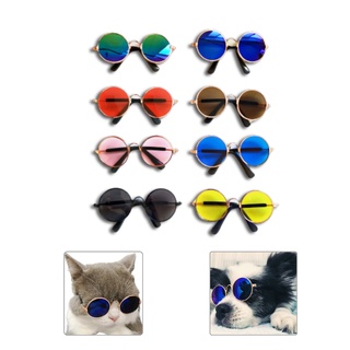 Óculos Para Pet Gato E Cachorro Diversas Cores de Sol e Leitura