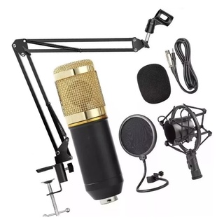 Kit Microfone Condensador Braço Articulado Pop Filter P2 T10 (1)
