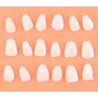 [BRPERFK2] Dentes Ultrafinos Facetas Temporrias De Resina Para Clareamento Anterior Tipo Misto