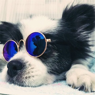 Produtos Para Animais De Estimação Adorável Rodada Do Vintage Óculos De Sol Gato Reflexão Olho Wear Cães Pequenos Pet Fotos Props Acessórios (6)