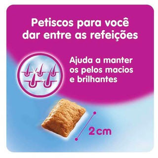 Whiskas Petisco Anti Bola De Pelo OU Salmão OU Pelo Saudavel 40gr Pet (5)