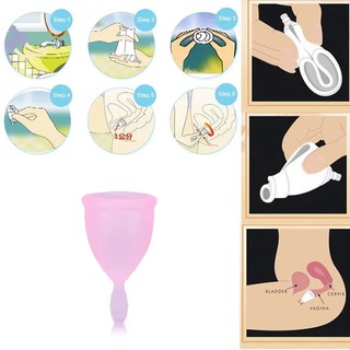 Coletor Menstrual Silicone Reutilizável (1 Unidade) Tamanho G Tamanho P (1)
