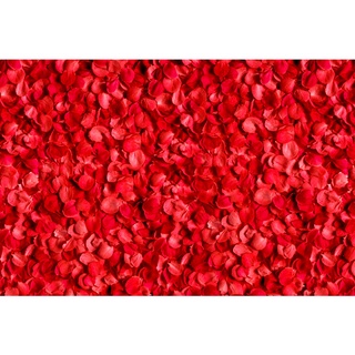 500 Pétalas De Rosas Artificiais Para Decoração Casamento Kit Romantico