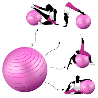 Bola De Pilates Suíça 65 Cm Com Bomba Ginastica Yoga (4)
