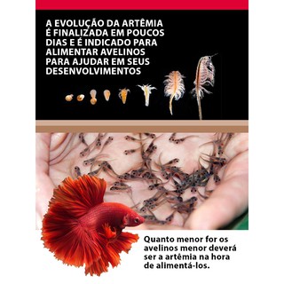 Cisto De Artêmia Salina 20gr Alta Eclosão AquaMante para alevinos e peixes adultos (embalagem À Granel) (7)