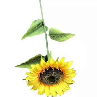 Girassol com 1 galho artificial flores secas bouquet grande sol flor decoração de jardim em casa 60cm