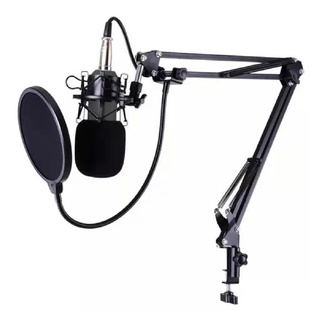 Kit Microfone Condensador Profissional Estúdio Bm800 Pronta Entrega