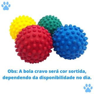 Kit Brinquedo Mordedor para Cachorro de Pequeno Porte Pneu Pequeno + Bola Cravo Pequena - Envio Imediato (4)