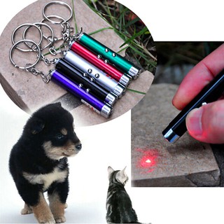 Laser Para Brincar Com Animais De Estimação Gato Cachorro Luz Led 3 Em 1