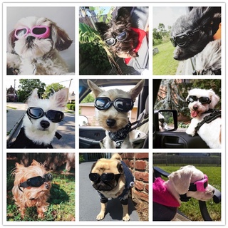 Pet Dog Óculos De Sol Para Cão Pequeno Gato Filhote De Cachorro À Prova D'água De Vento Proteção UV Fornecimentos Acessórios
