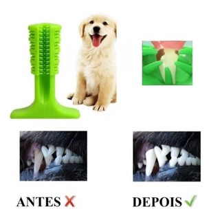 Brinquedo Mordedor Escova de Dentes Para Cachorro Raças Médias + Brinde Gel Dental Brincalhão (7)