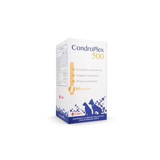 Suplemento Alimentar CondroPlex 500 - 60 Capsulas