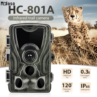 HC801A Hunting 16MP Trail Câmera night light IP65 Photo Traps 0.3s Trigger Time 940nm 1080P Câmera à prova d'água meloso