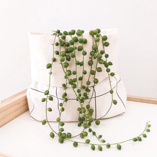 Cachepô GRID off White decoração tendência minimalista para plantas
