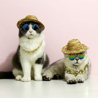 Produtos Para Animais De Estimação Adorável Rodada Do Vintage Óculos De Sol Gato Reflexão Olho Wear Cão Pequeno Pet Fotos Adereços . (6)