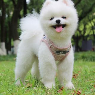 Dog Harness Vest Dog leash Adjustable Breathable Collar Dog Accessories 1.2M (8)
