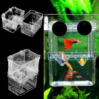 Criadeira Acrilica (caixa De Separação)para peixes 10x7x13 cm C x L x A