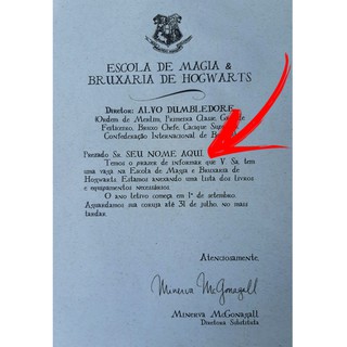 Combo Carta Harry Potter de Aceitação Hogwarts e Carta do Ministério (4)