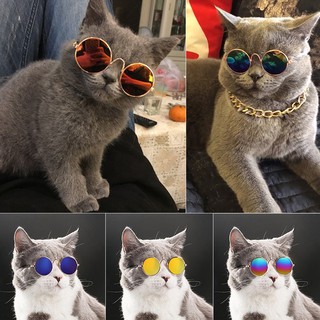 Óculos De Sol De Sol Com Proteção Fotos Acessórios Para Pets / Cães / Gatos (2)