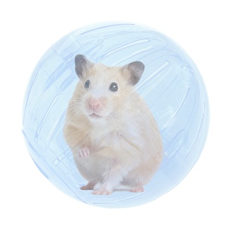 Bola para Hamster Roedores Ball Savana Pet