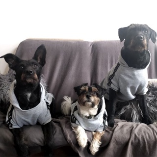 ERICH1 Francês Bulldog Filhote De Cachorro Para Pequenas Médias Grandes Cães Quente Outfit Traje Pet Roupas Hoodies/Multicolor (4)