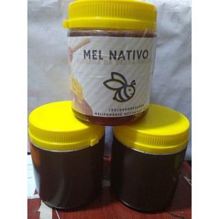 MEL 1 kg de Mel de abelha 100% Puro Orgânico 1Kg (6)