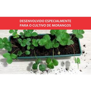 Substrato Especial Para Morangos Em Vasos Com Adubo Fertilizante Fibra de Coco e Micro e Macro Nutrientes 1 Kg (2)