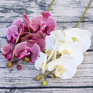 Bluevelvet1 Real Toque Fontes Do Casamento Decoração De Festa Casa Diy Elegante Borboleta Orquídea Flores Artificiais (4)