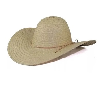 chapéu pantaneiro palha chapeu karanda gaucho Mineiro (3)