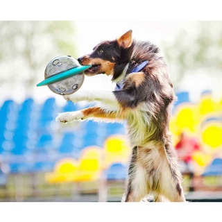 Comedouro Interativo Cachorro Disco Voador Brinquedo (2)