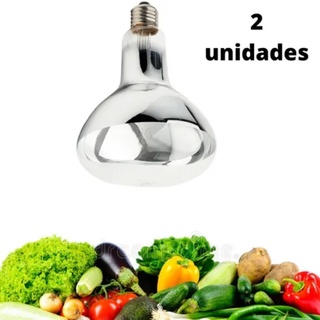 2 Lâmpada Para Desidratação De Frutas,legumes, Ervas,vegetal