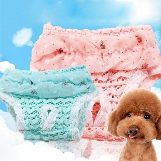 1Pcs Female Dog Shorts Puppy Physiological Pants Diaper Pet Underwear Dot Print Dog Panties Strap For Dogs Supplies (1)