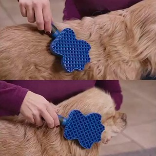 Escova Massageadora Tira Pelos de Gato e Cachorro Pet Shop Dog Cat Bichinhos (5)