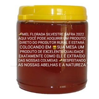 Mel de abelha Florada Silvestre 1kg direto do produtor 100% puro (7)