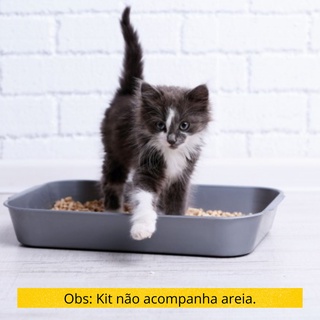 Arranhador Felino Brinquedo de Gato + Caixa de Areia Completa + Coleira + Comedouro e Bebedouro (5)