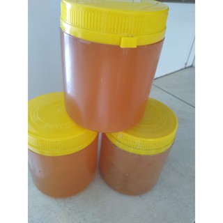 2 kg Mel de abelha 100% Puro Orgânico 2Kg (3)
