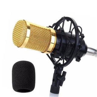 Microfone Estúdio Profissional Bm800 Condensador