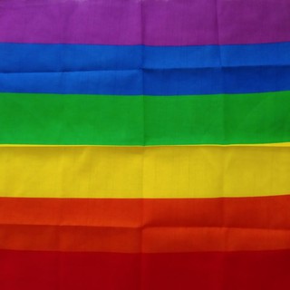 Lenço bandana arco-íris (bandeira LGBT+) (6)