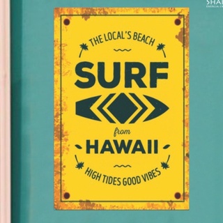 SURF HAWAII PLACA DECORATIVA
