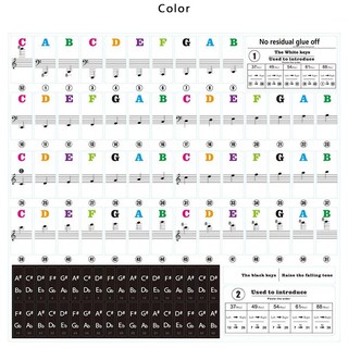 Adesivo Colorido Notas Musicais Teclado Piano
