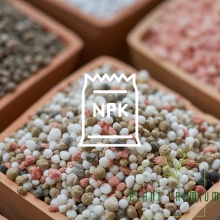 Adubo NPK 10-10-10 fertilizante 1kg