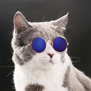 ERHA⭐ Linda Acessórios Do Cão Suprimentos Cão Gato Multicolor Fotos Props Acessórios Óculos De Sol Pet Óculos / Multicolor